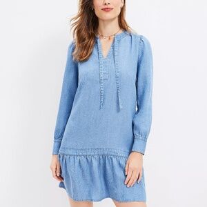 Chambray Tie Neck Flounce Swing Dress